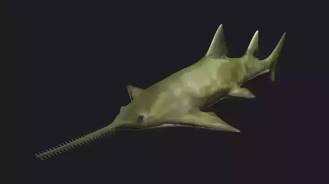 fish shark sawfish animal aquatic extinct ocean