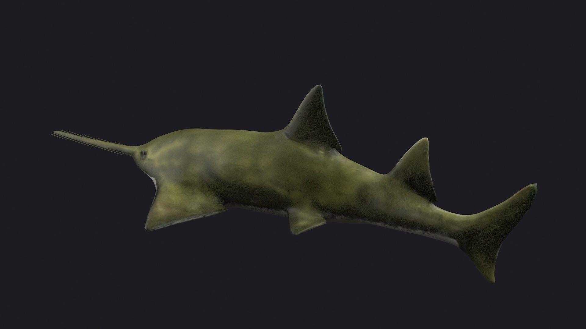 fish shark sawfish animal aquatic extinct ocean 3D model_2