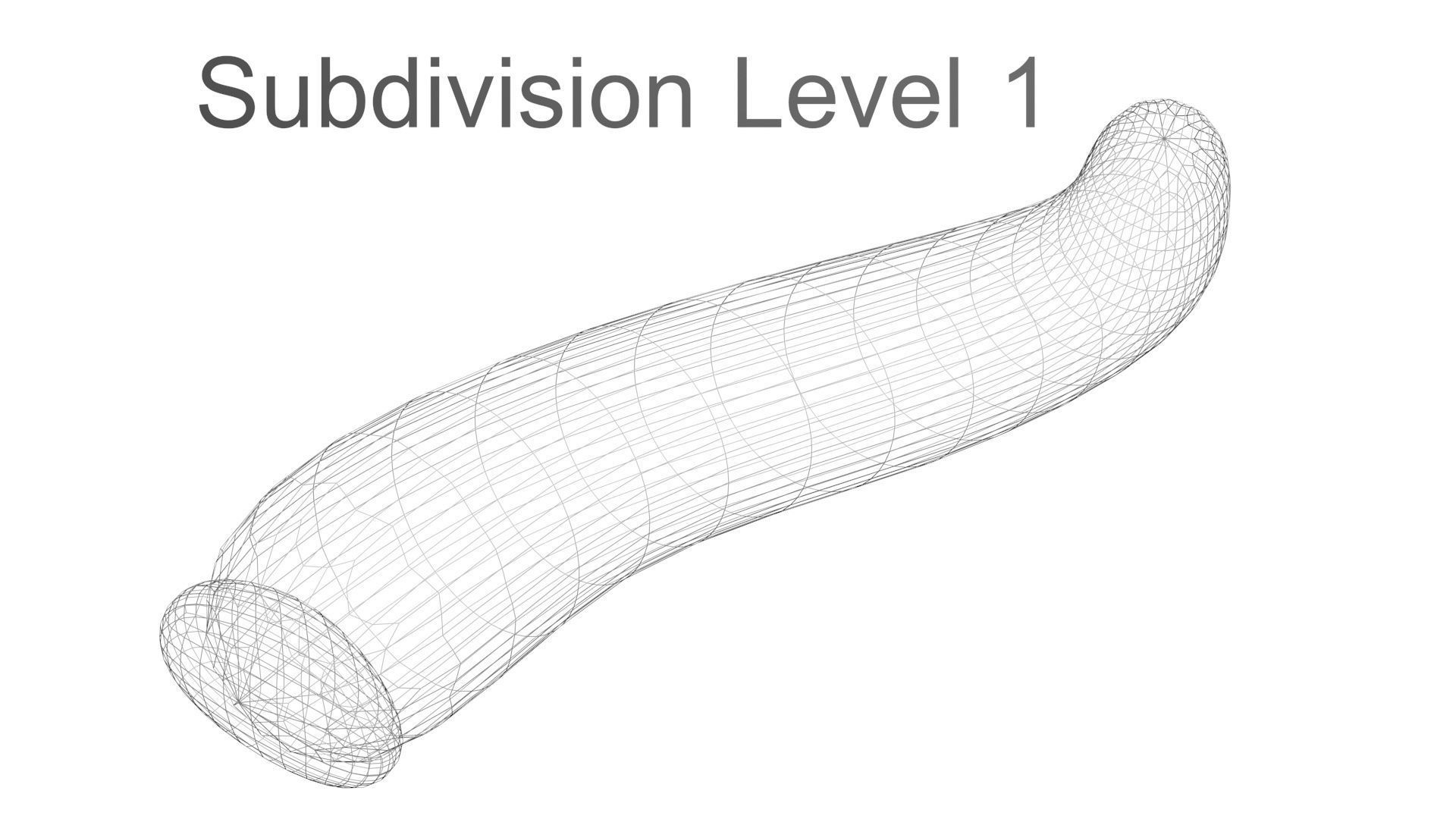 Silkworm 3D model_33