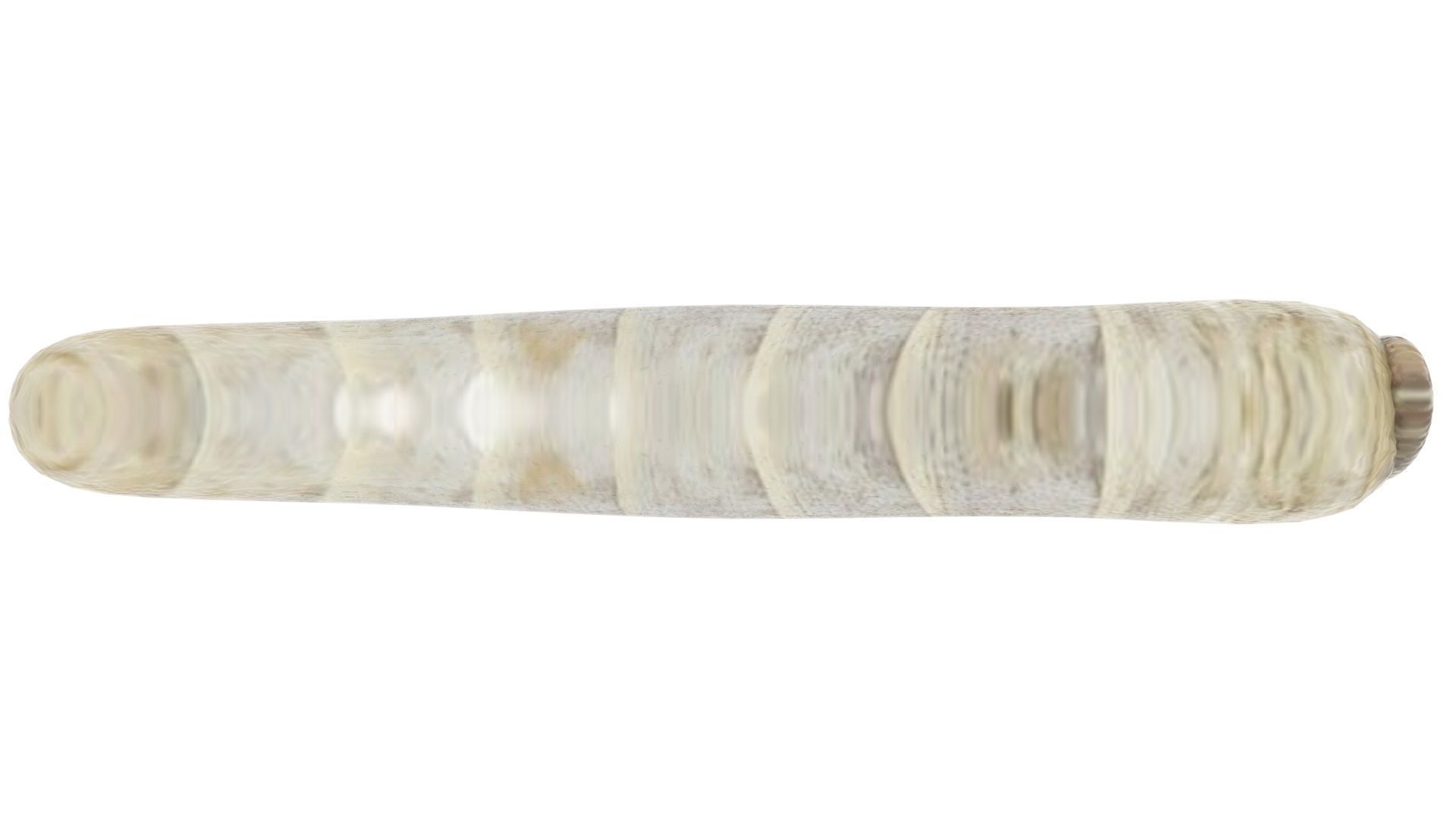 Silkworm 3D model_19