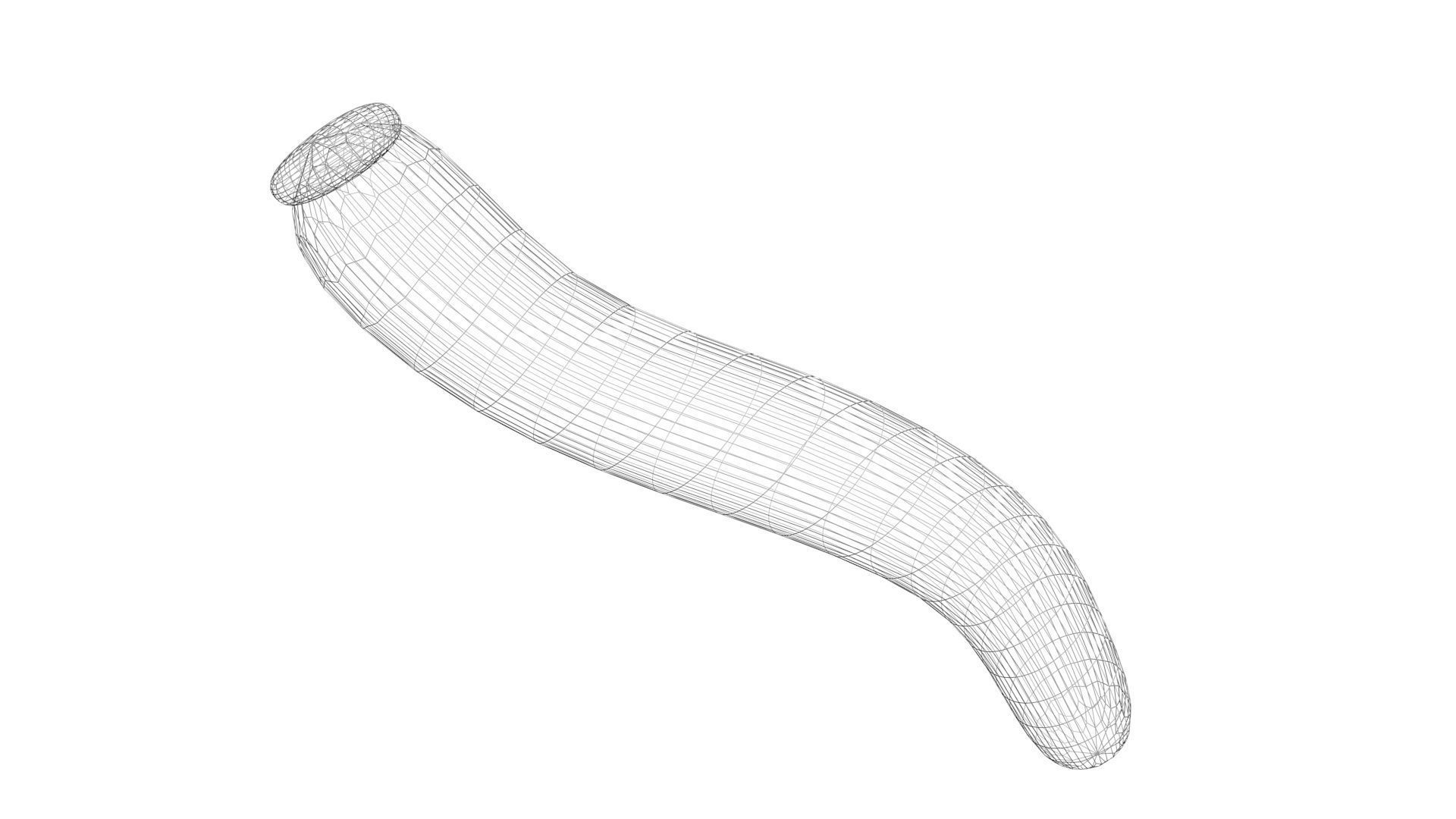 Silkworm 3D model_26