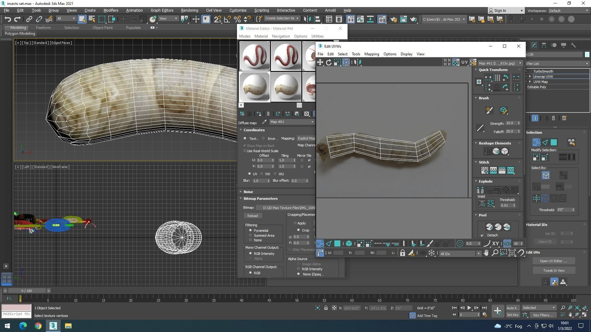 Silkworm 3D model_35