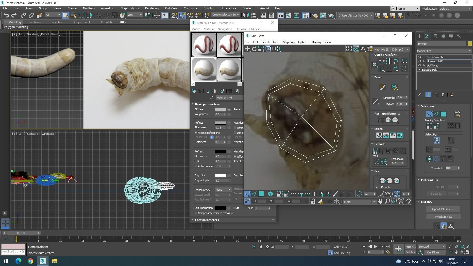 Silkworm 3D model_36