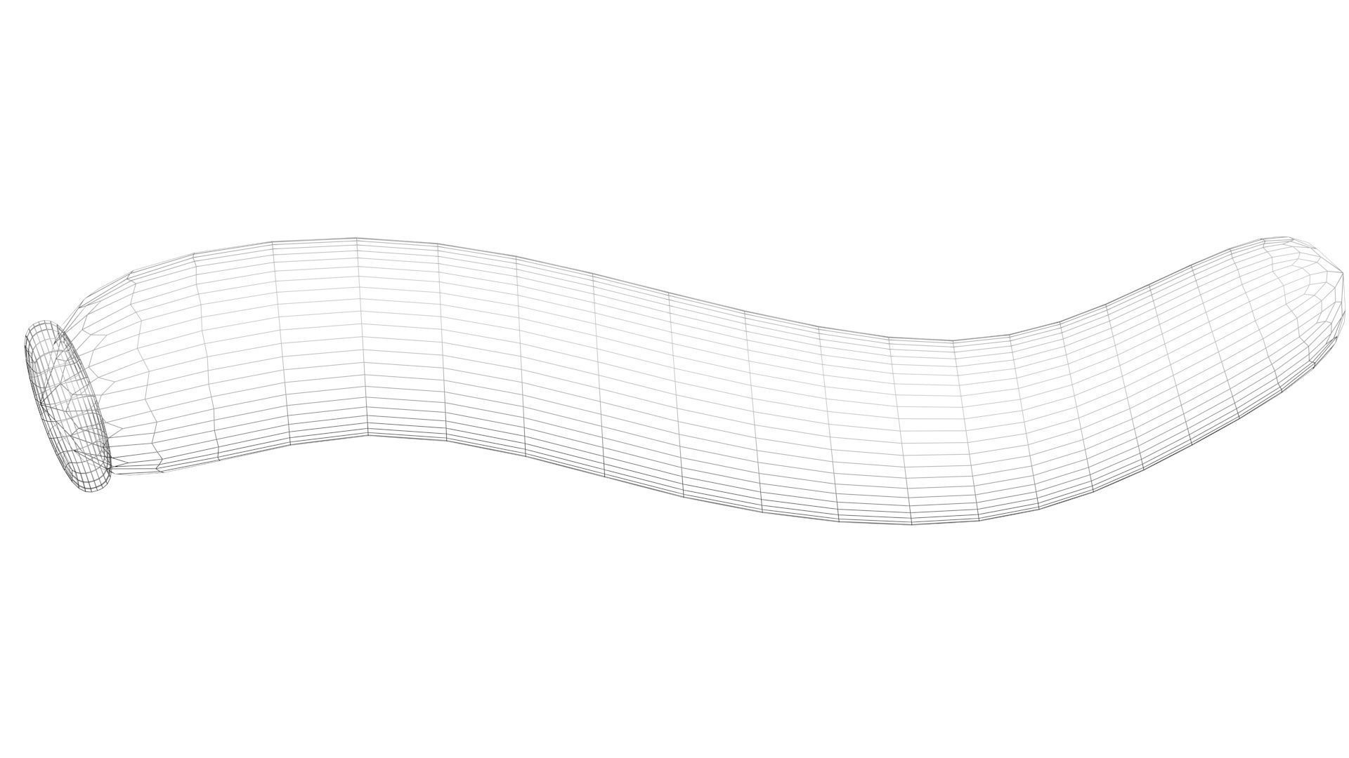 Silkworm 3D model_27