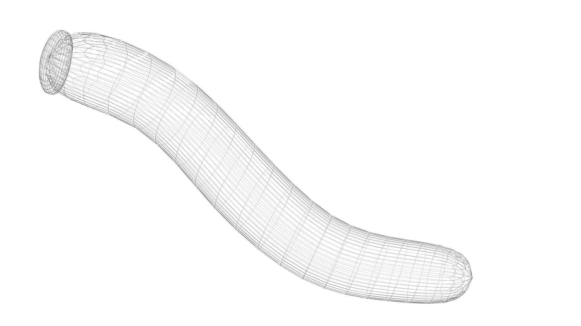 Silkworm 3D model_22