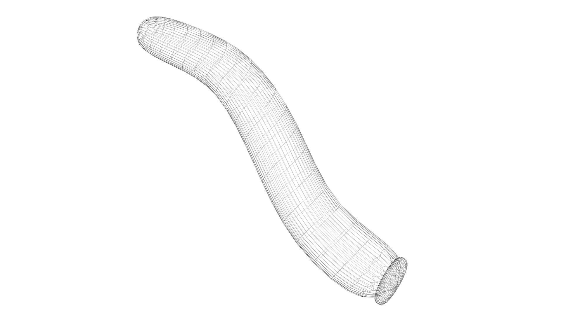 Silkworm 3D model_24