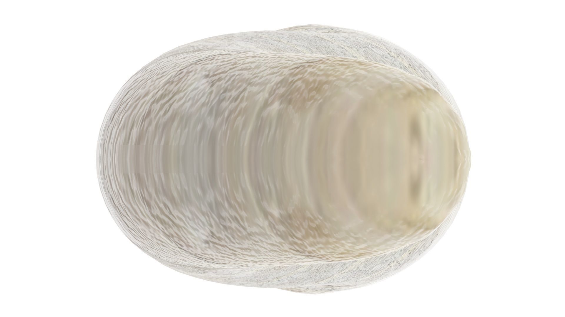 Silkworm 3D model_20