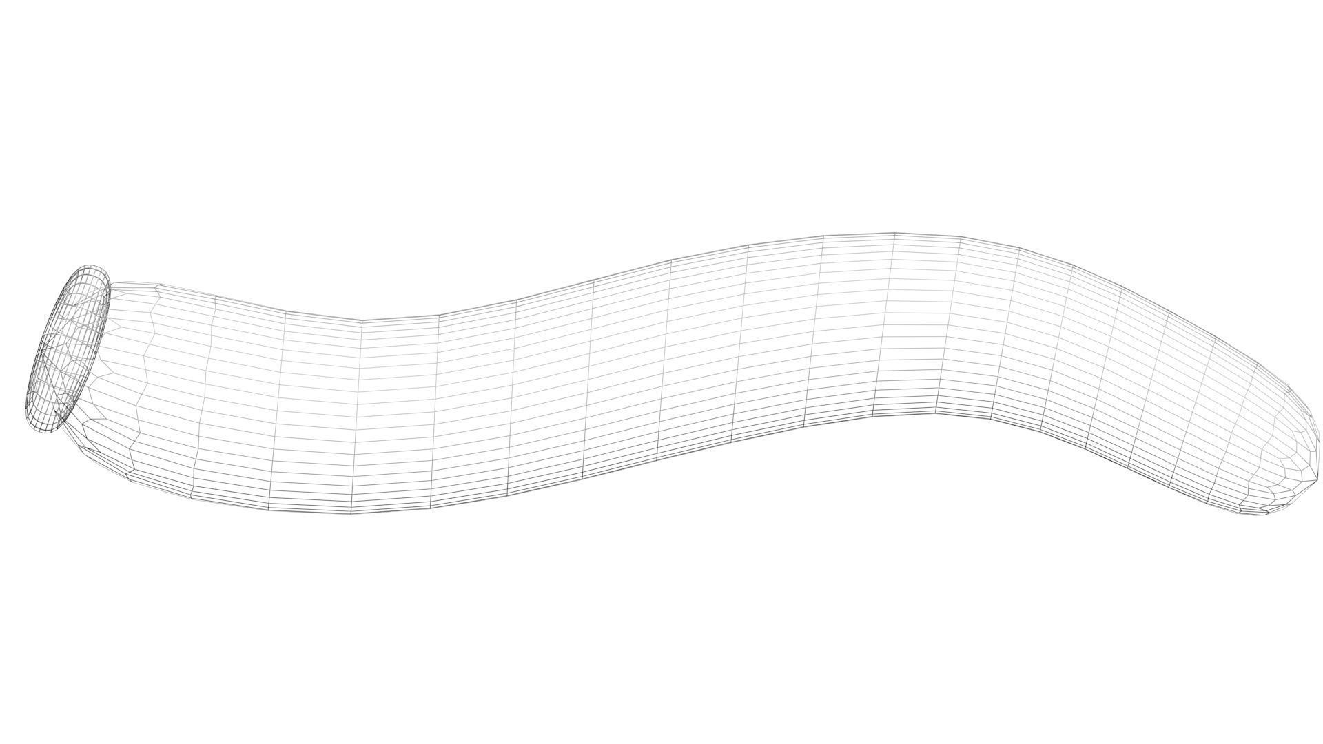 Silkworm 3D model_30