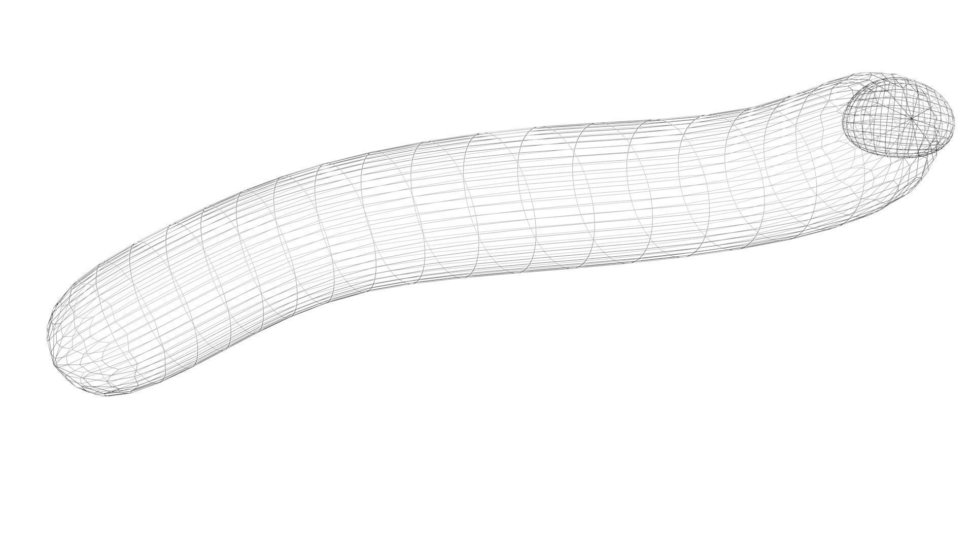 Silkworm 3D model_23