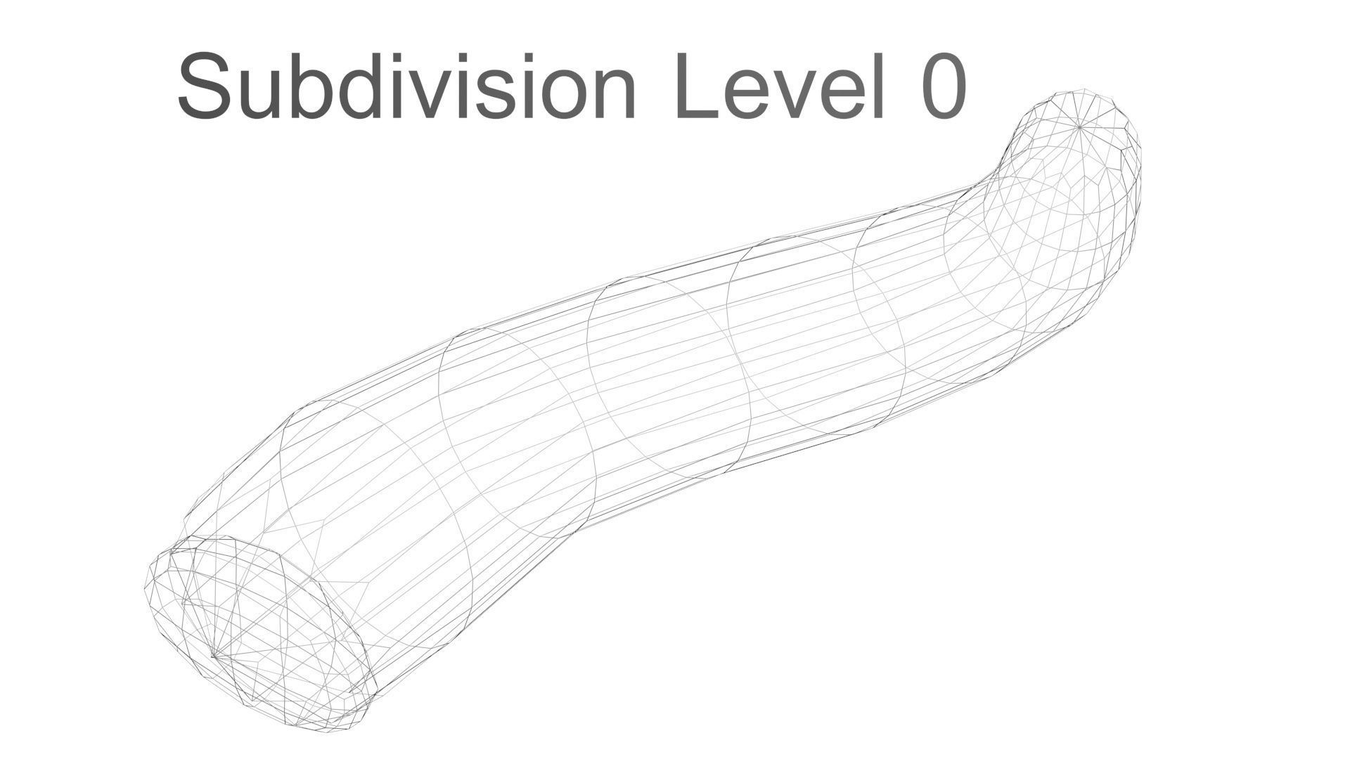 Silkworm 3D model_34