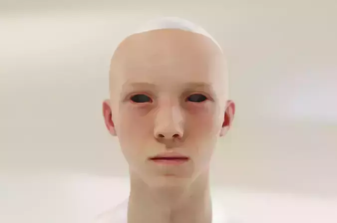 Hyper realistic beautiful bald  Elf teen boy 3D model