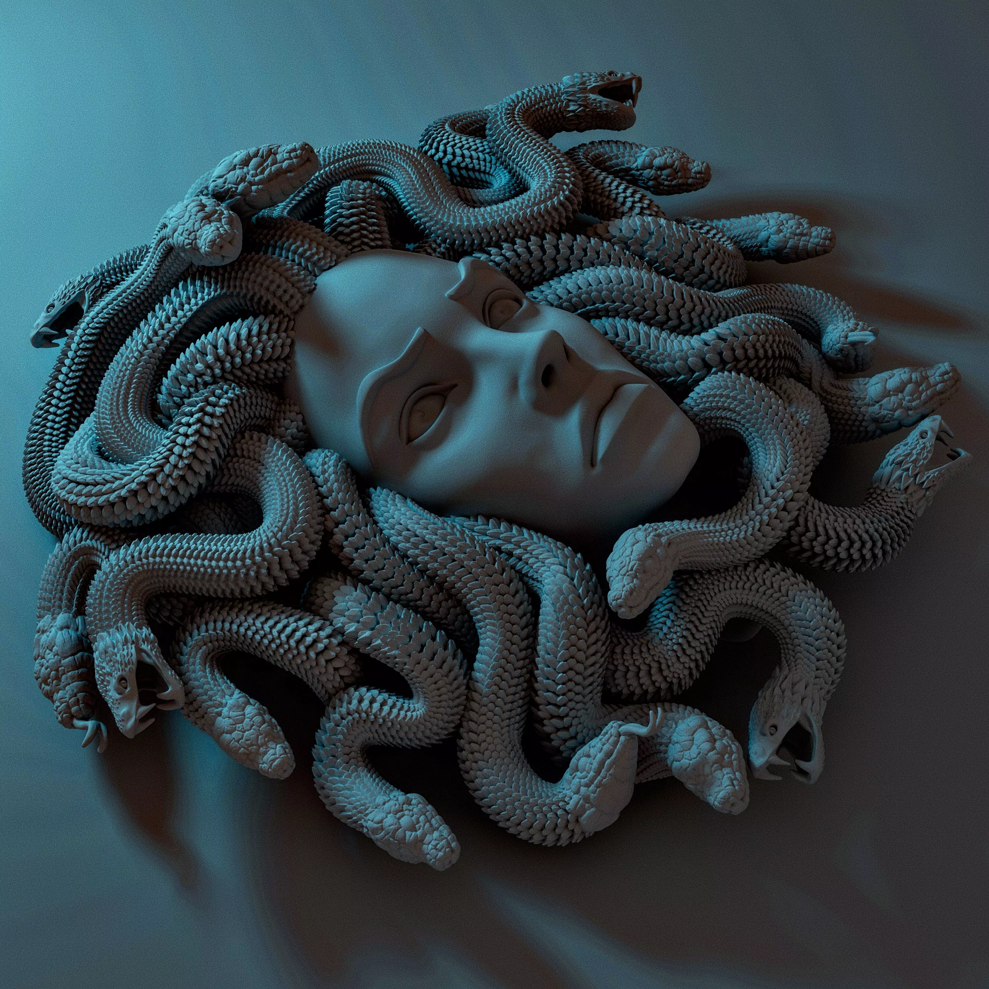 MEDUSA WALL DECOR 3D print model_0