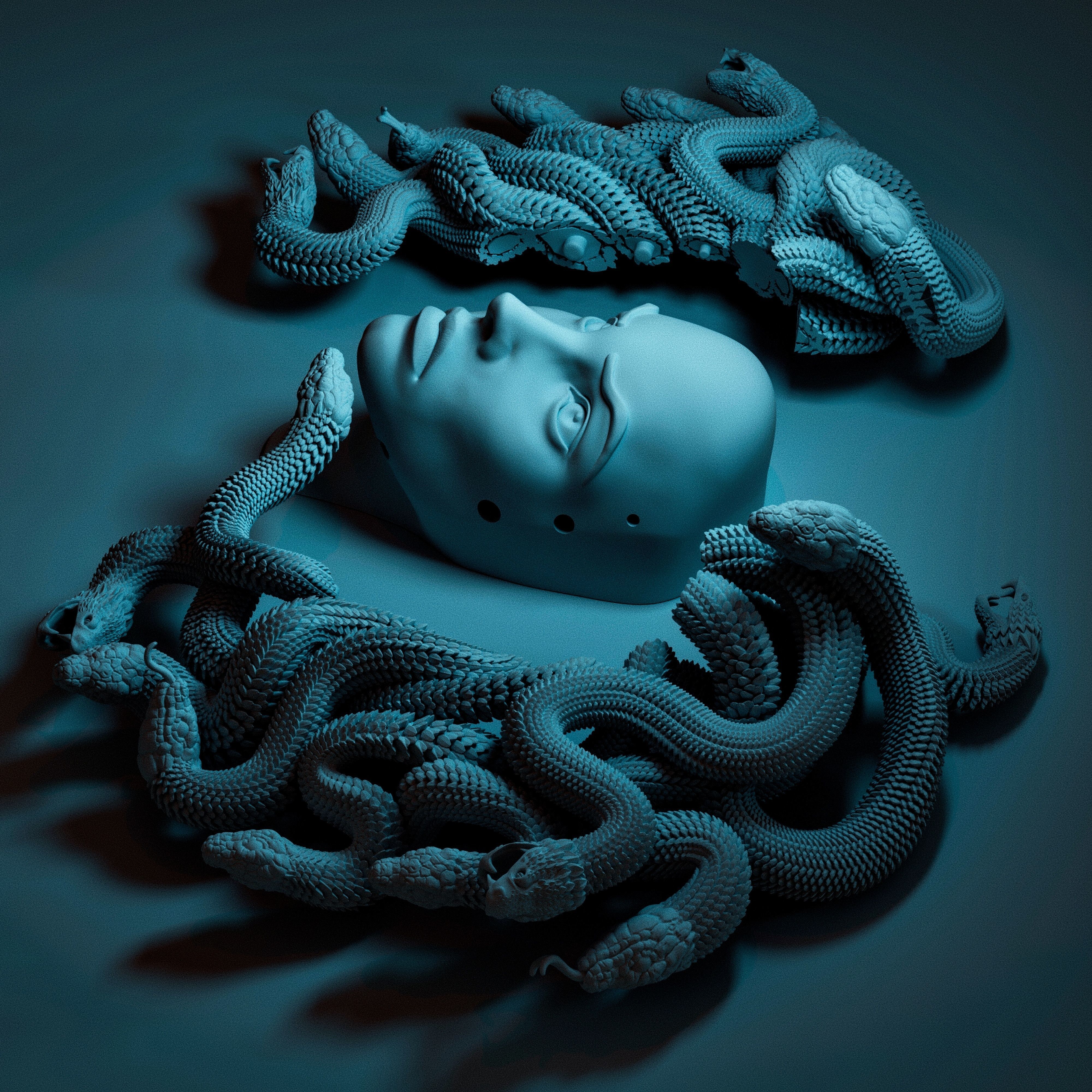 MEDUSA WALL DECOR 3D print model_6