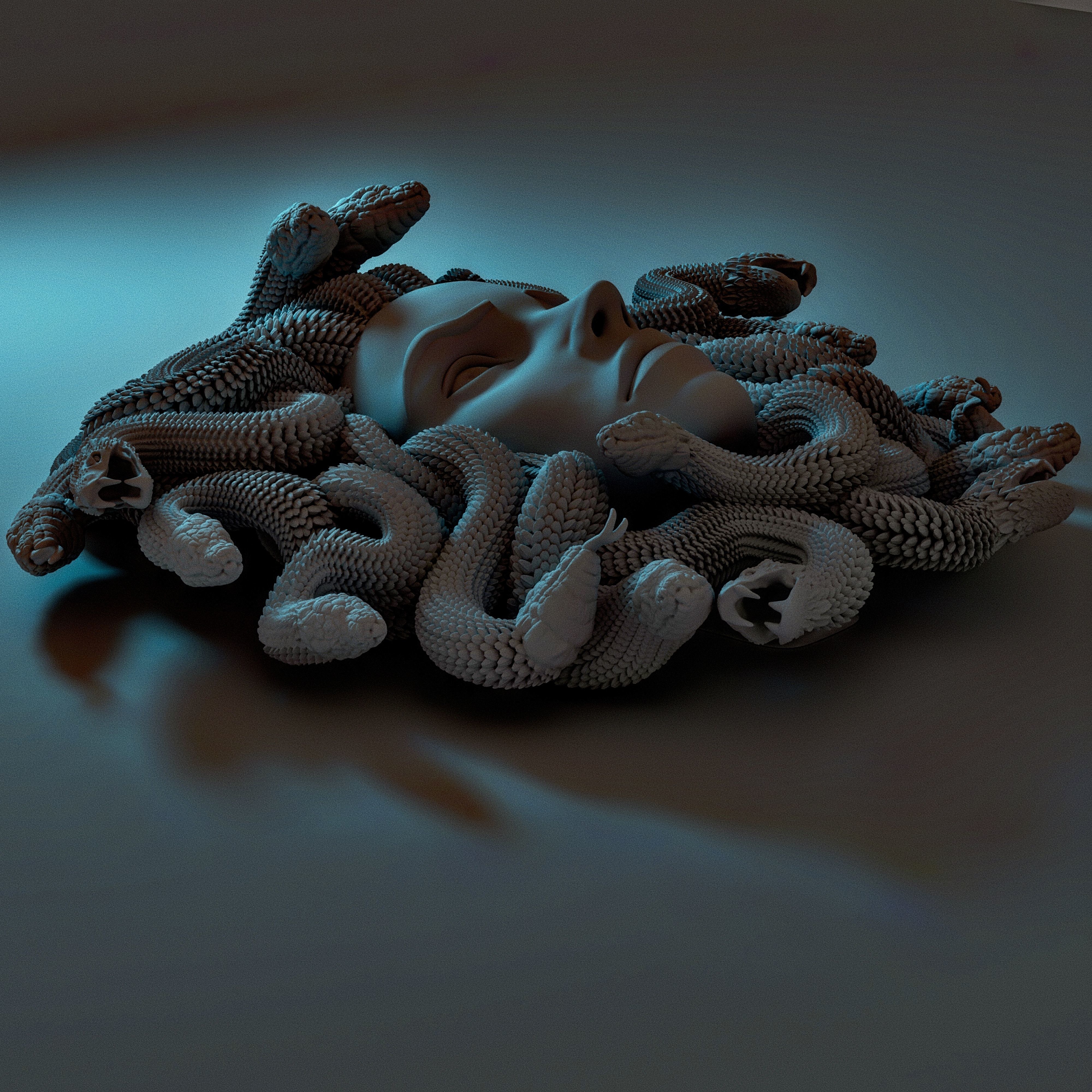 MEDUSA WALL DECOR 3D print model_3