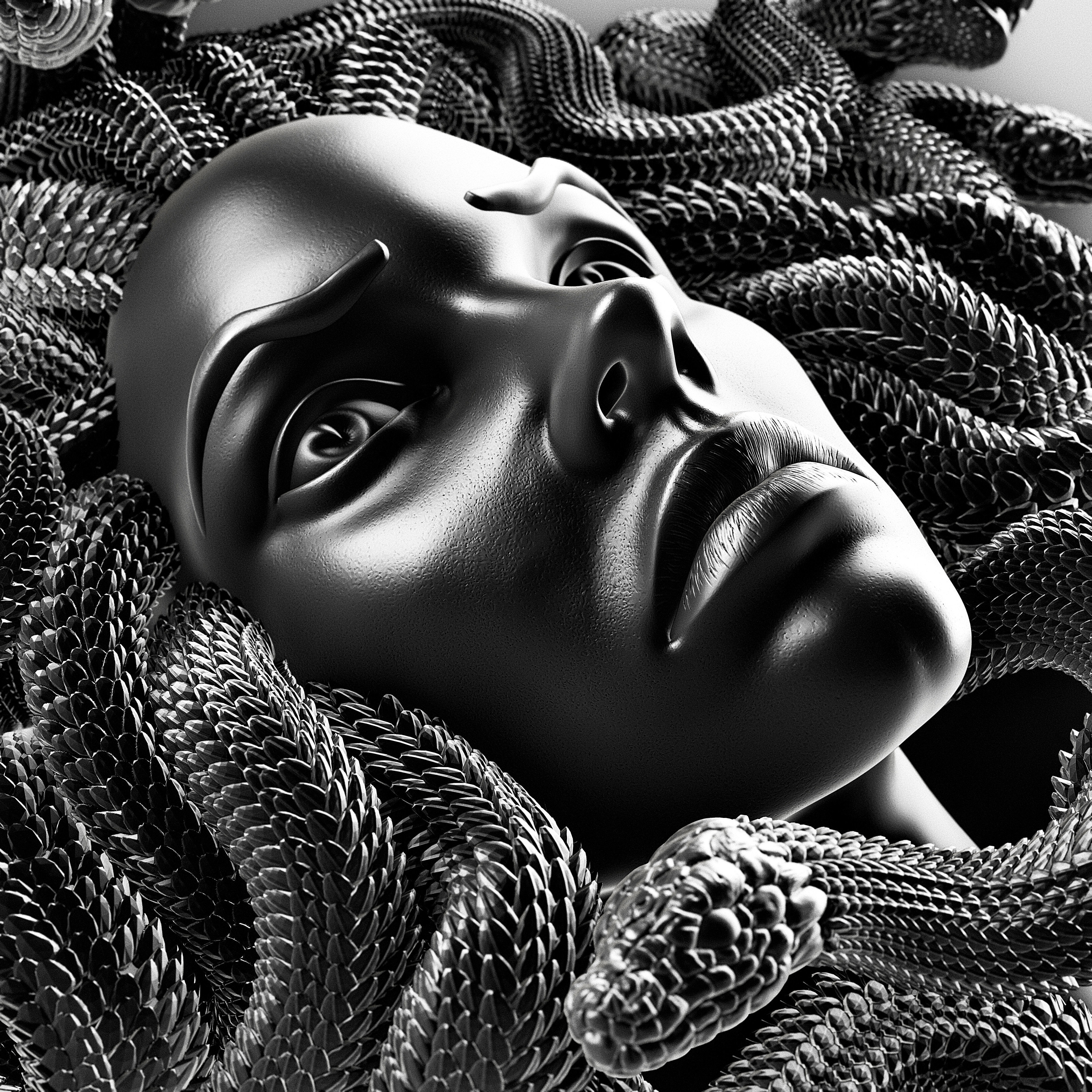 MEDUSA WALL DECOR 3D print model_16