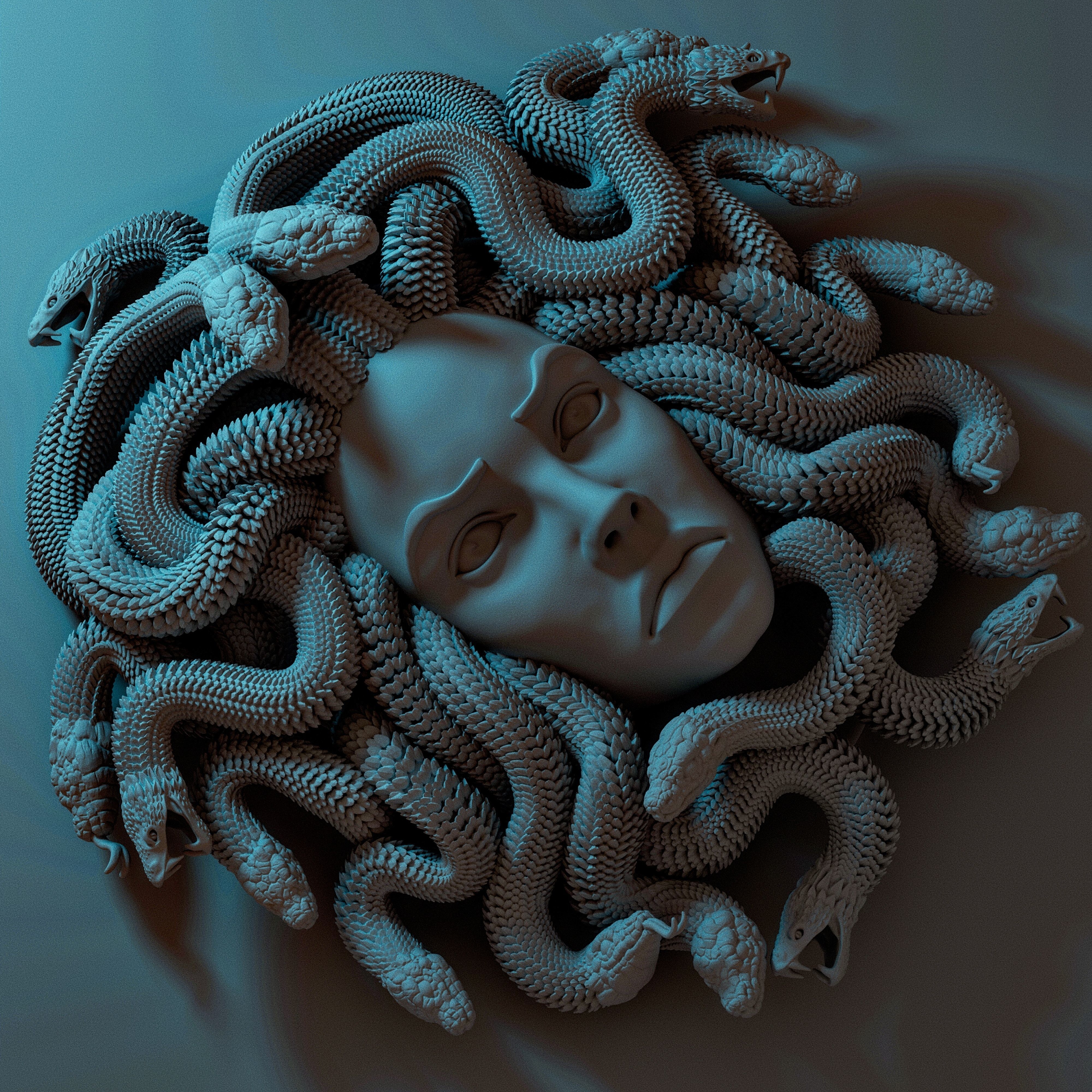 MEDUSA WALL DECOR 3D print model_2
