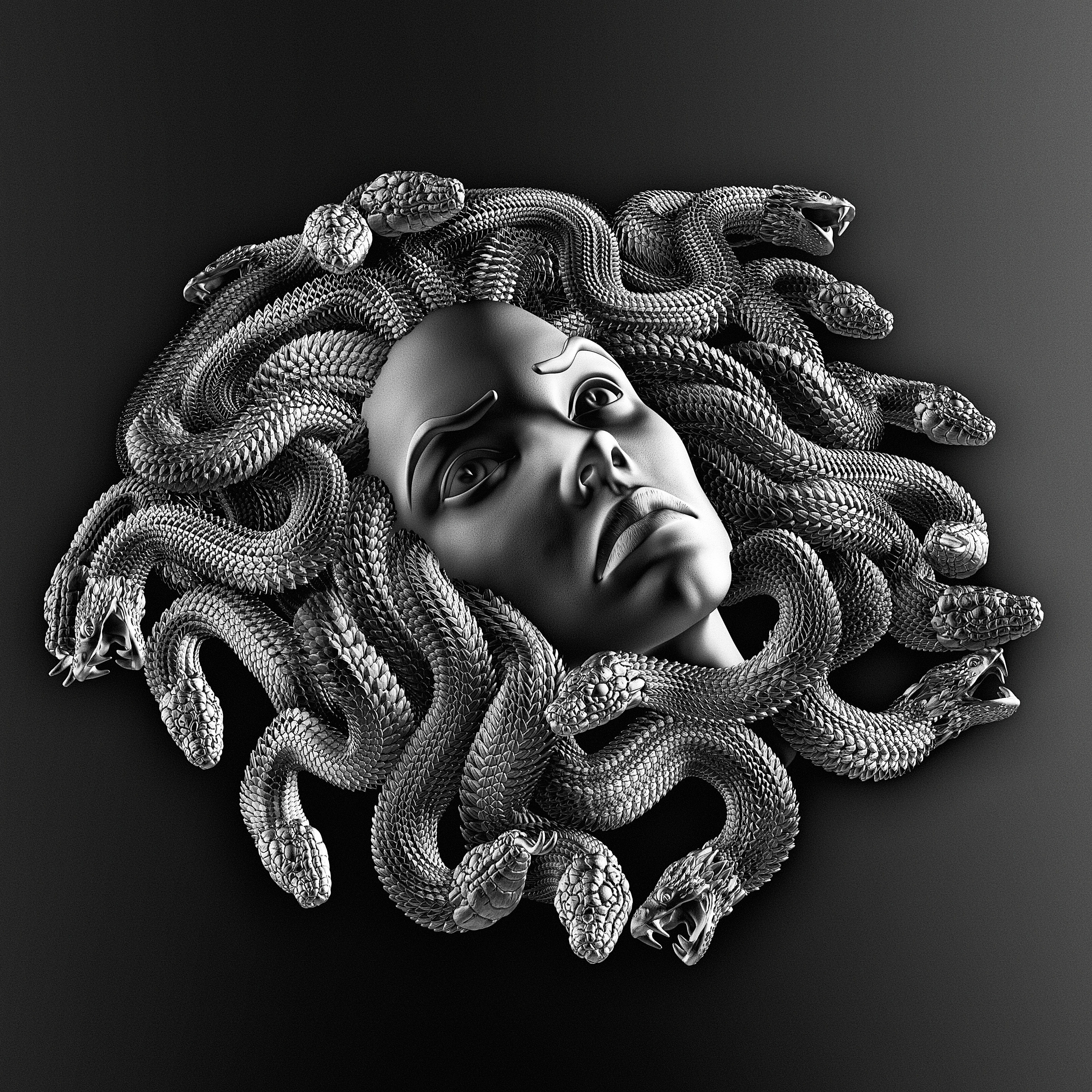 MEDUSA WALL DECOR 3D print model_7