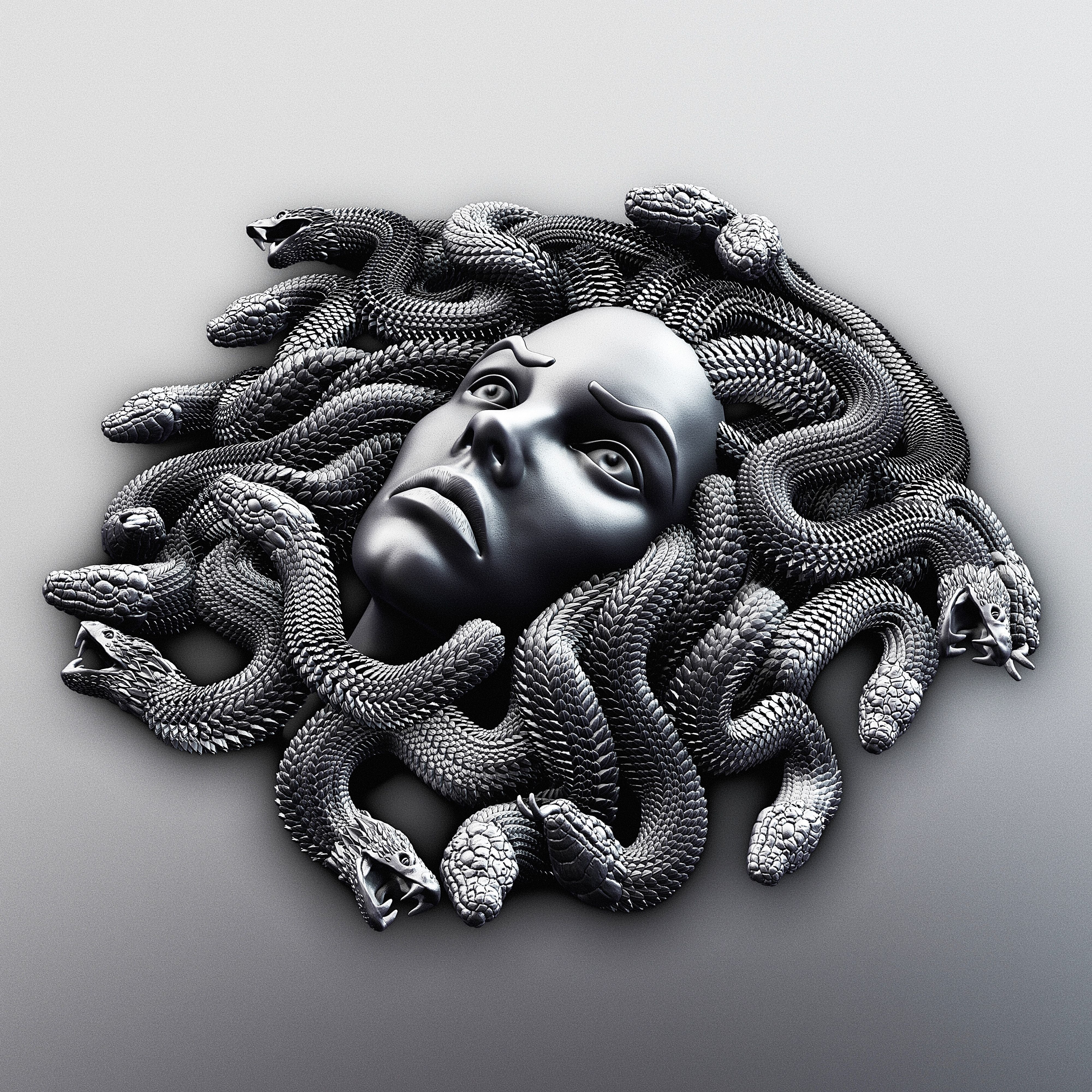 MEDUSA WALL DECOR 3D print model_15