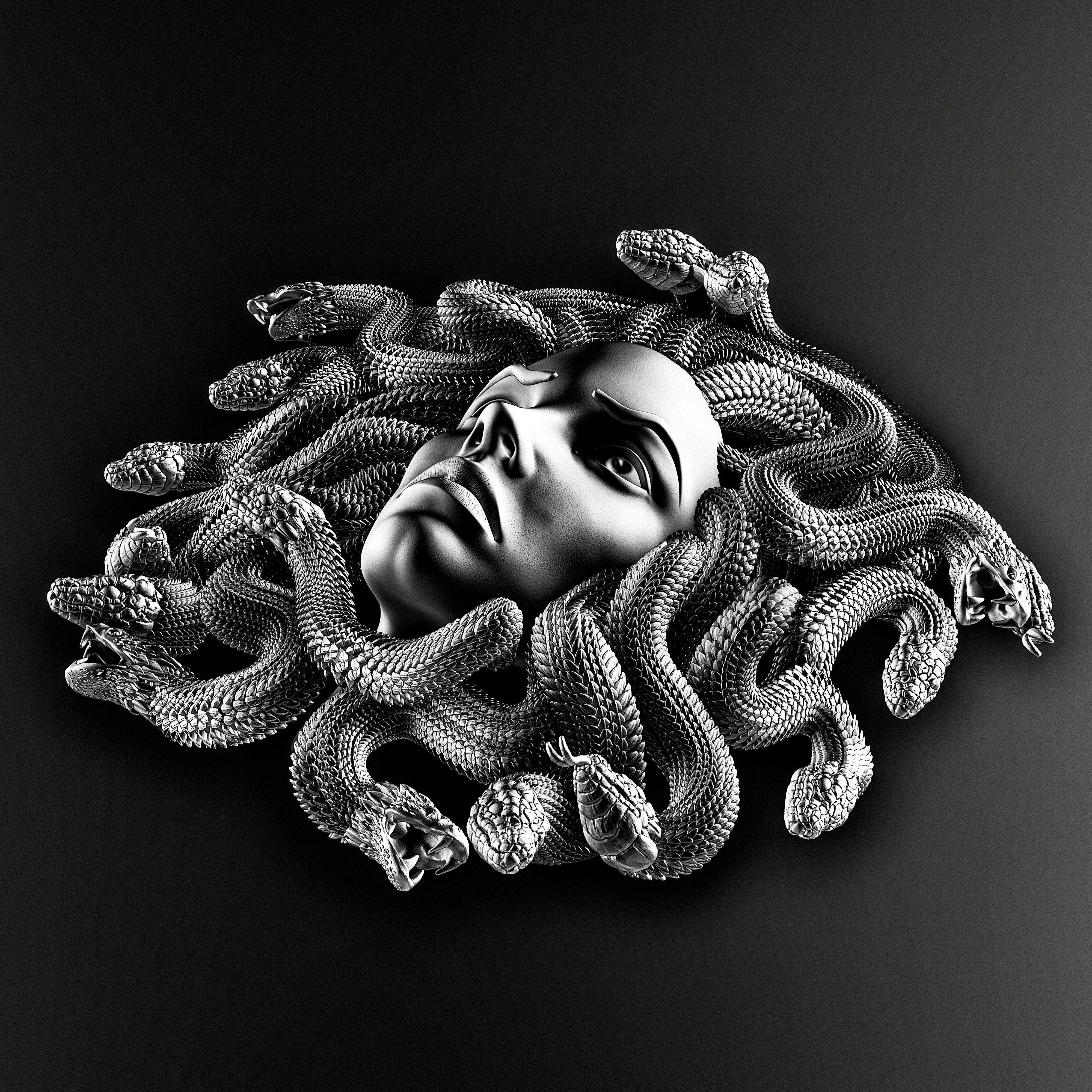 MEDUSA WALL DECOR 3D print model_14