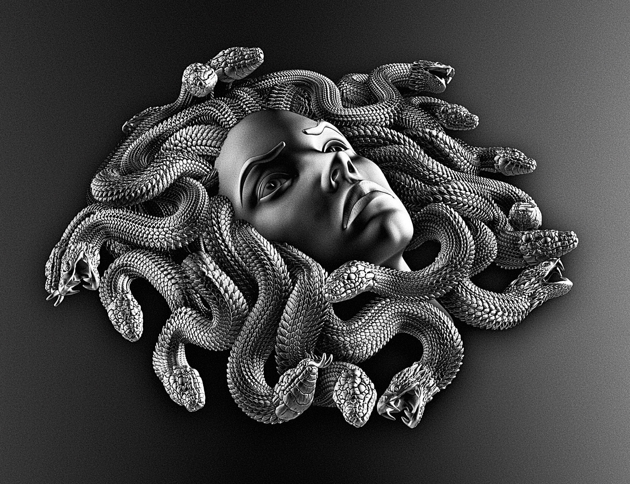 MEDUSA WALL DECOR 3D print model_9