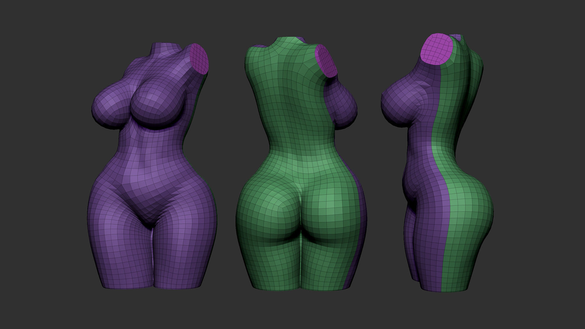 Female Torso 5 3D print model_4