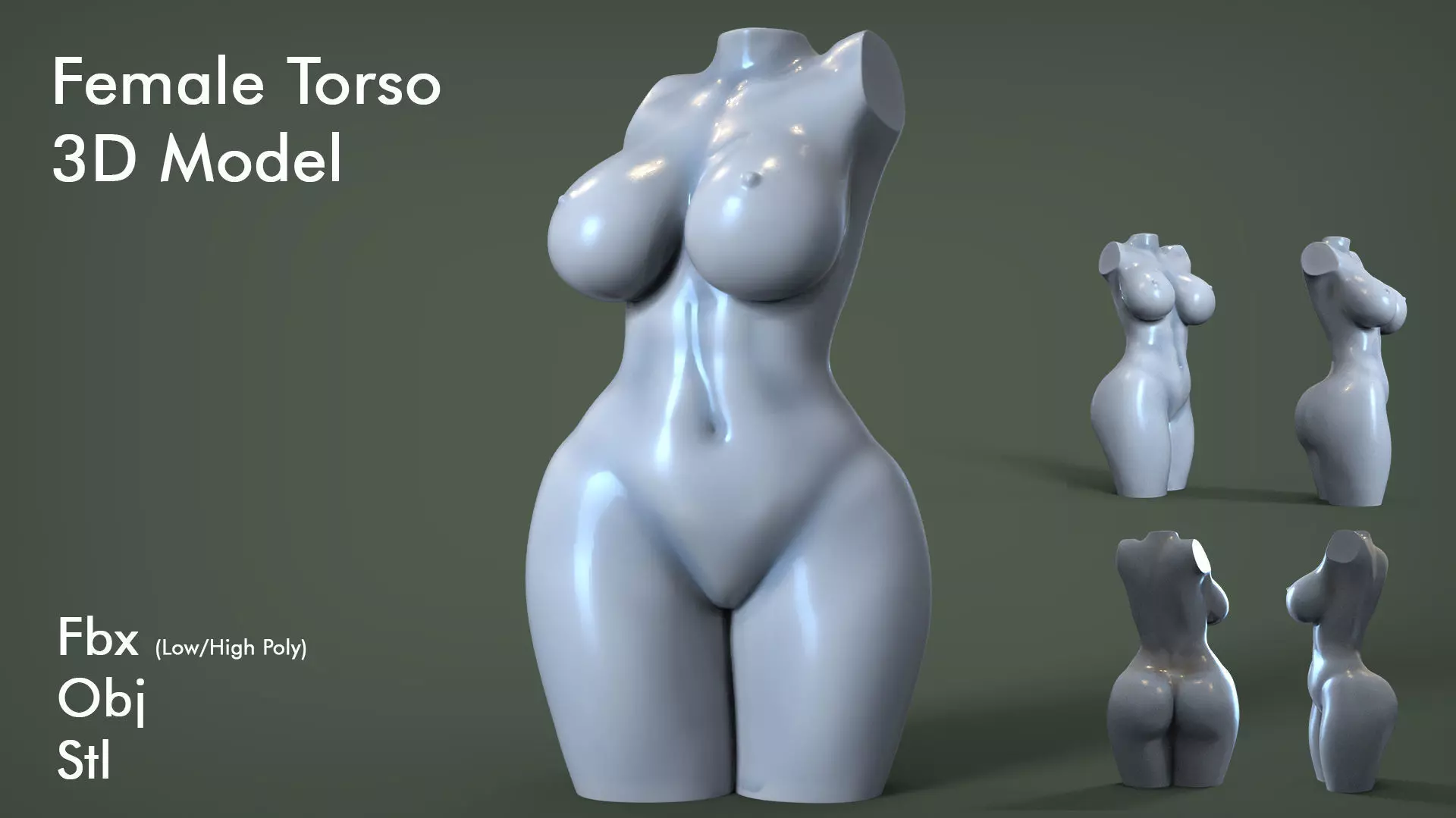 Female Torso 5 3D print model_0