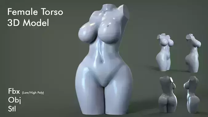 Female Torso 5