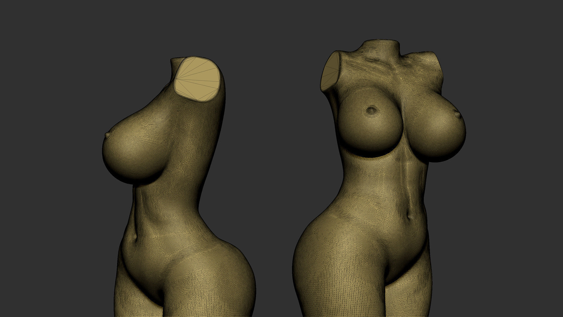 Female Torso 5 3D print model_8