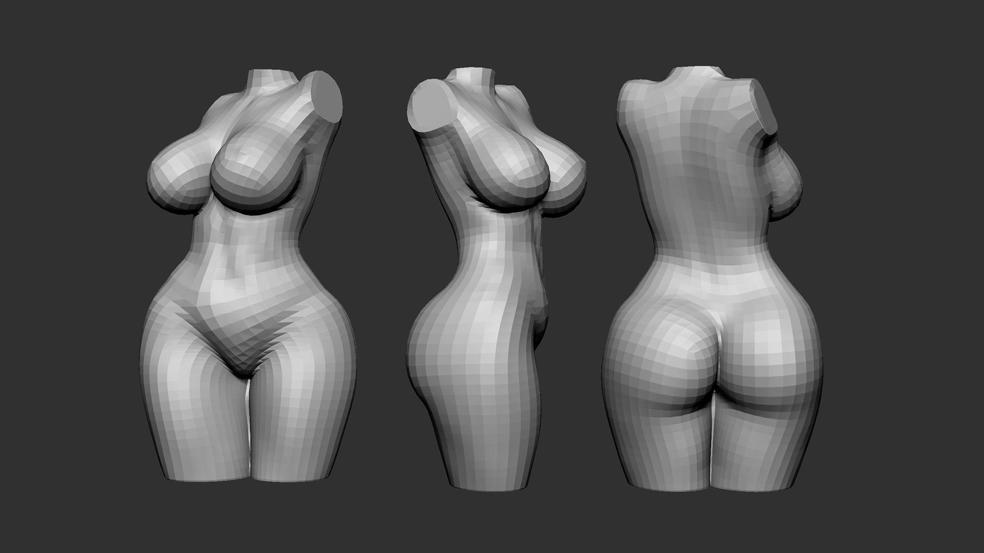 Female Torso 5 3D print model_3