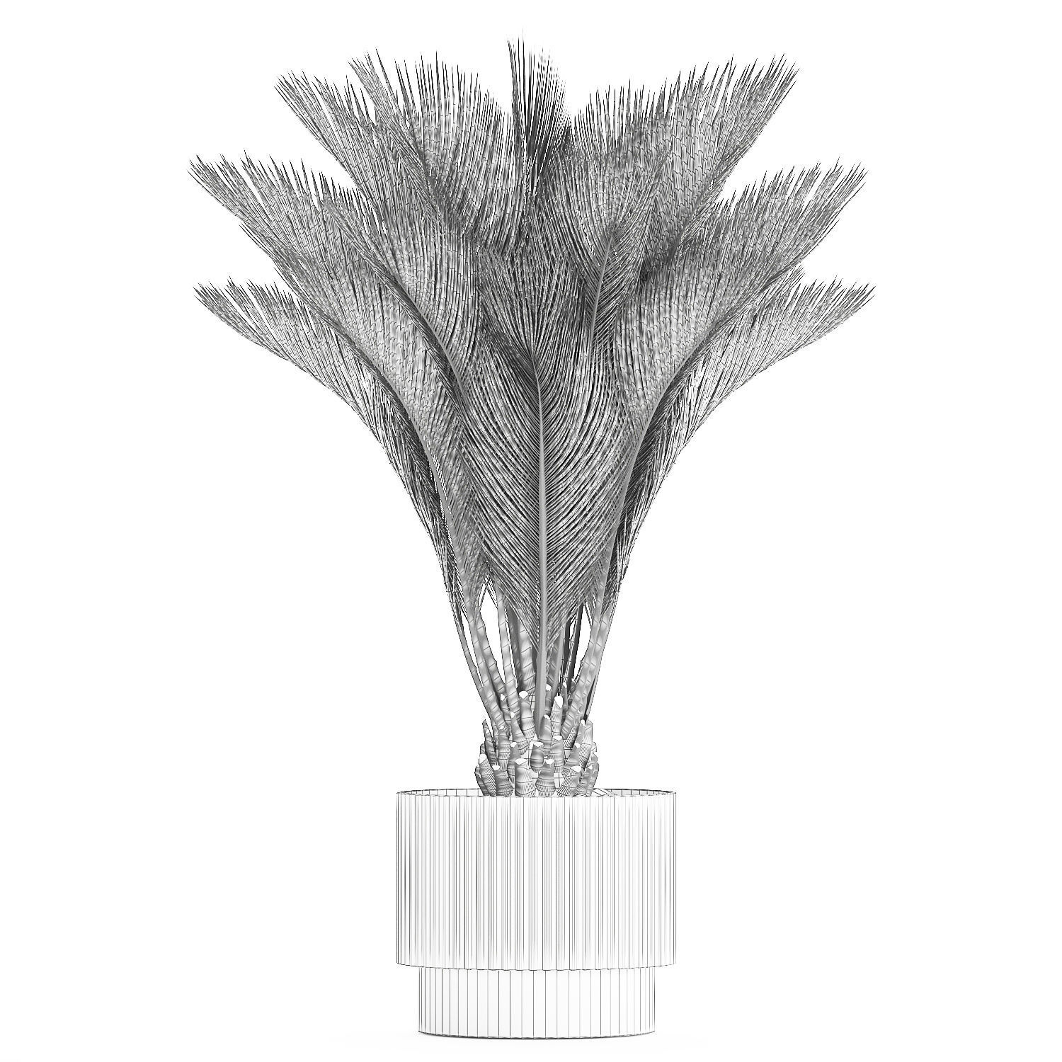 Small date palm in a white modern pot 1463 3D model_14