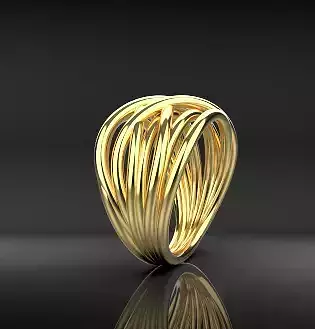 beautiful ring with extension