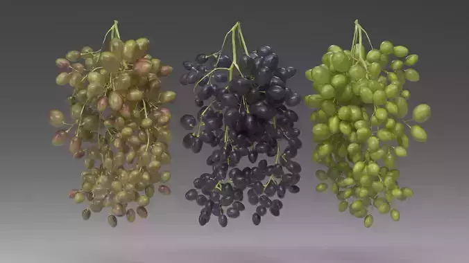Grape 3D model