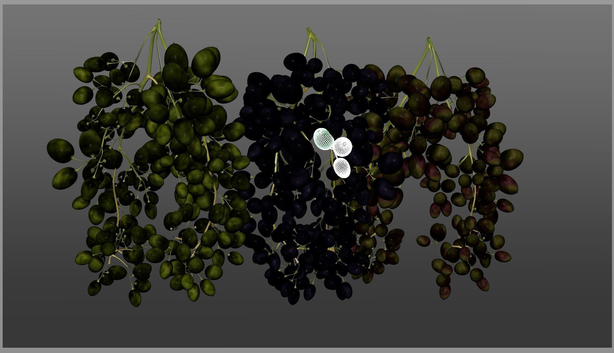Grape 3D model_16