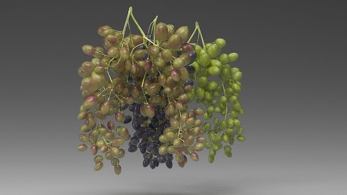Grape 3D model 7