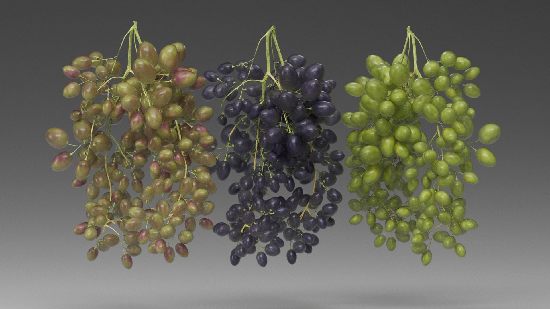 Grape 3D model_2