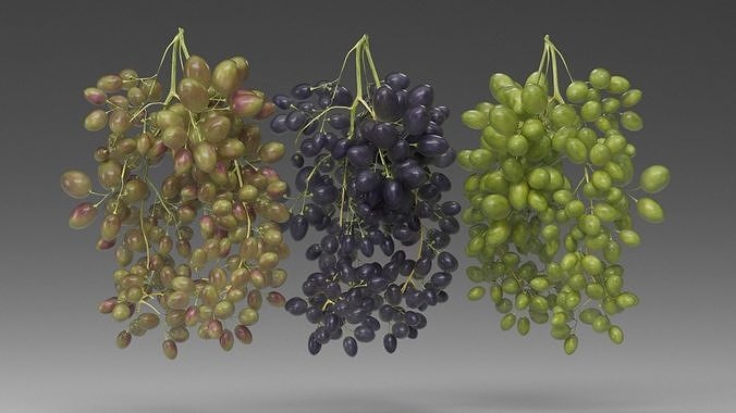 Grape 3D model 3