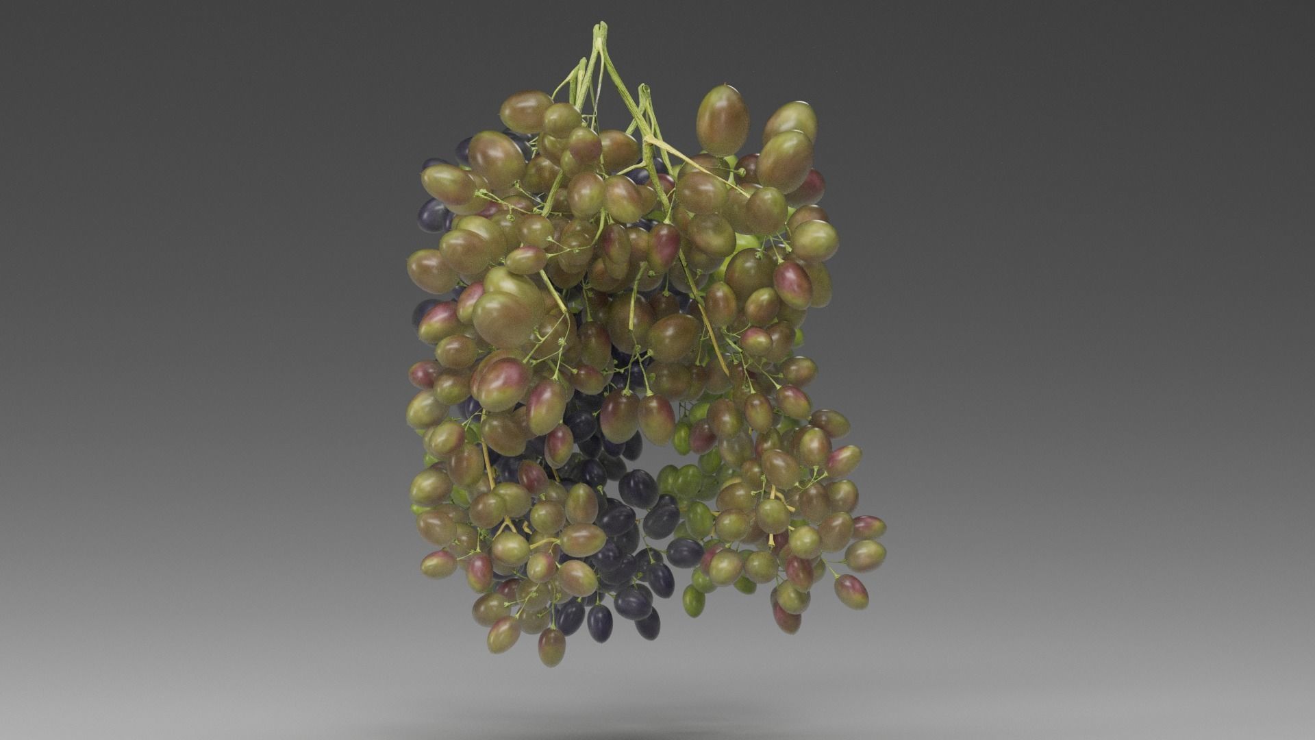 Grape 3D model_7