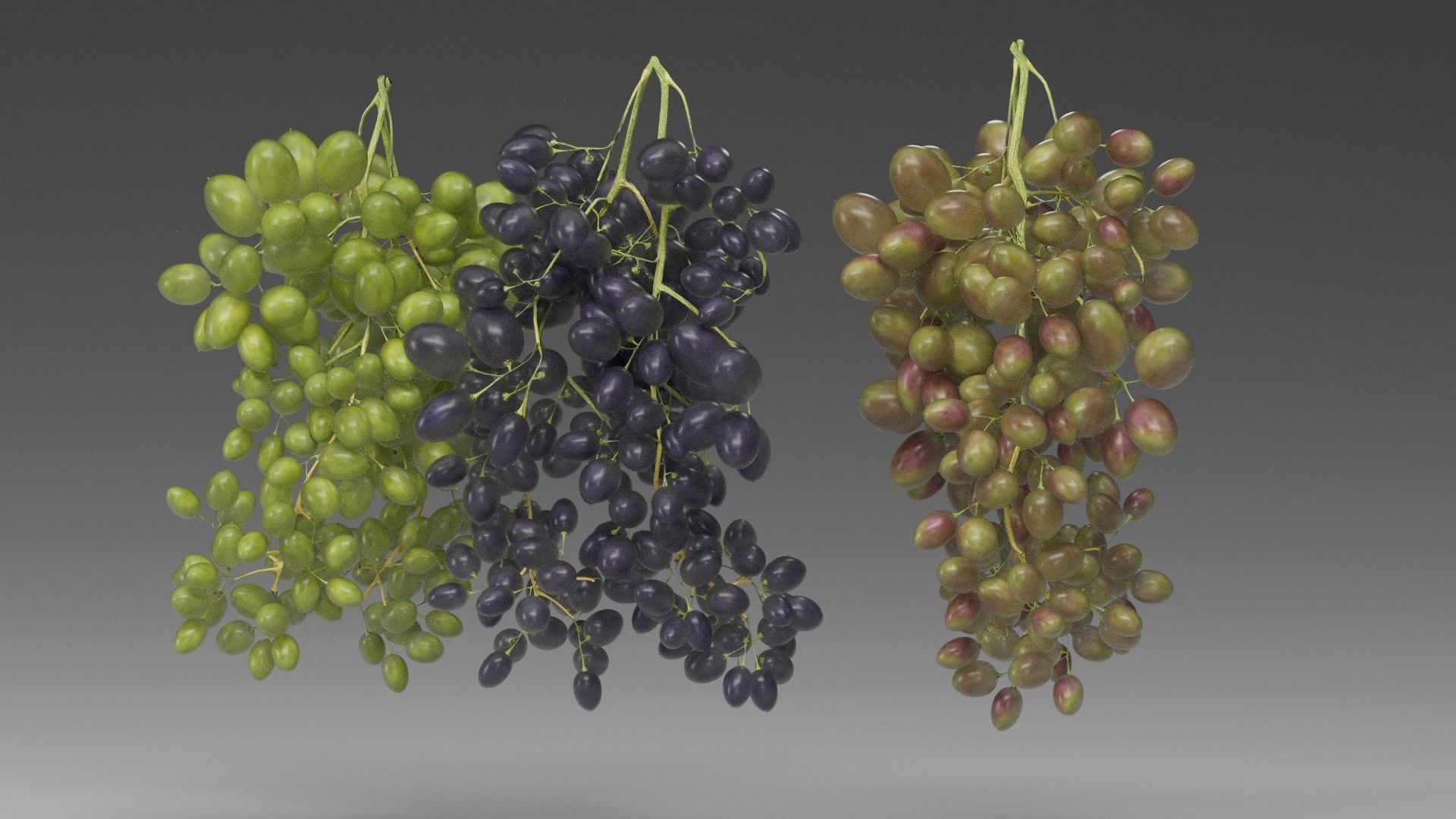Grape 3D model_10