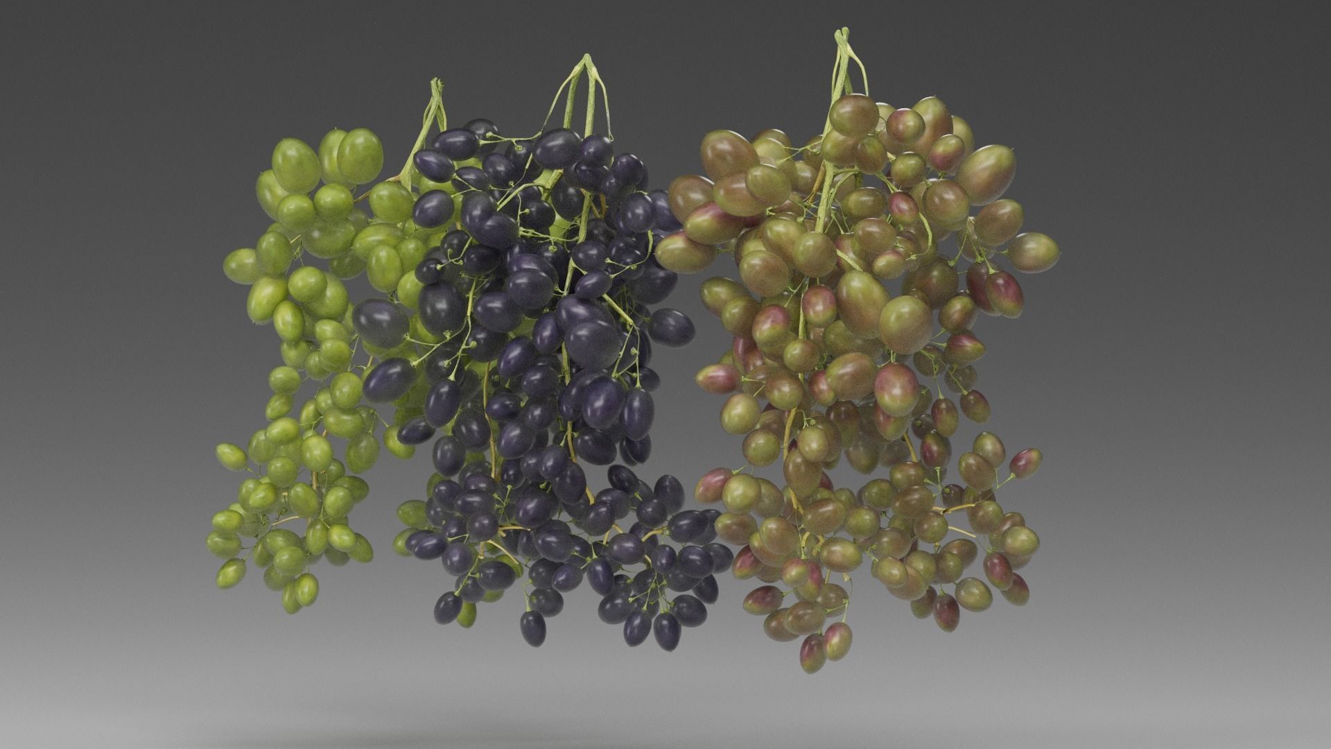 Grape 3D model_9