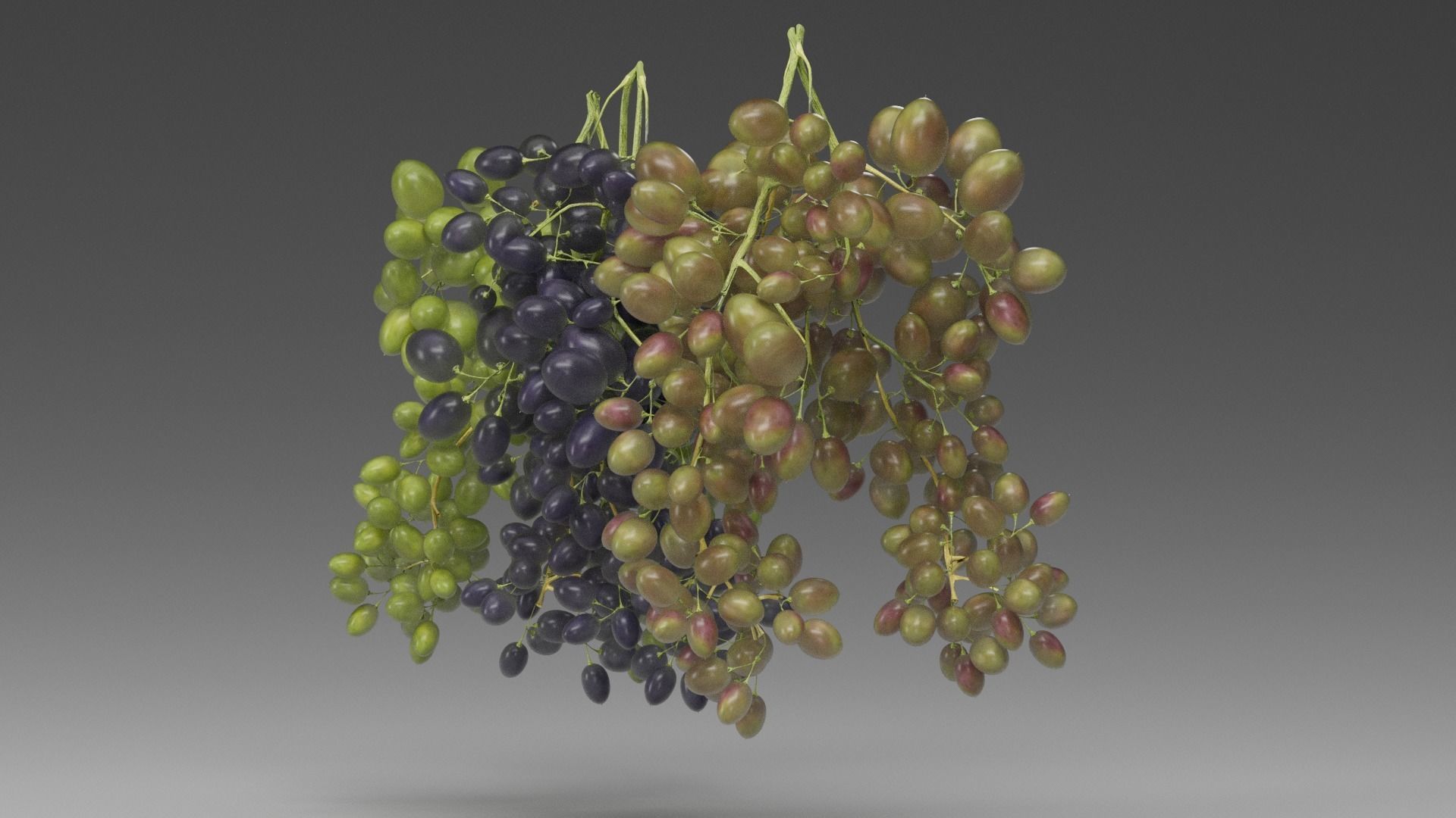 Grape 3D model_8