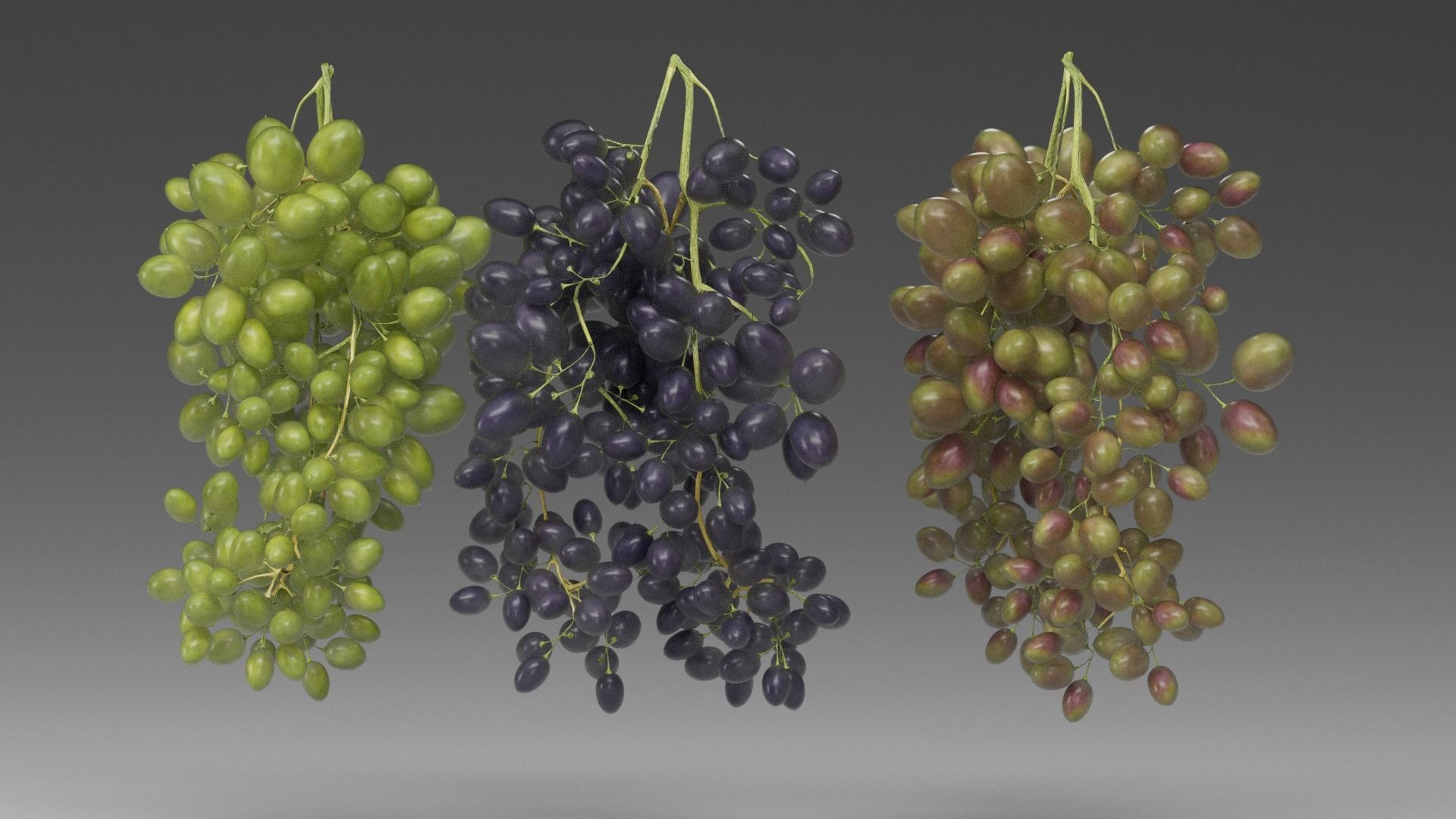 Grape 3D model_11