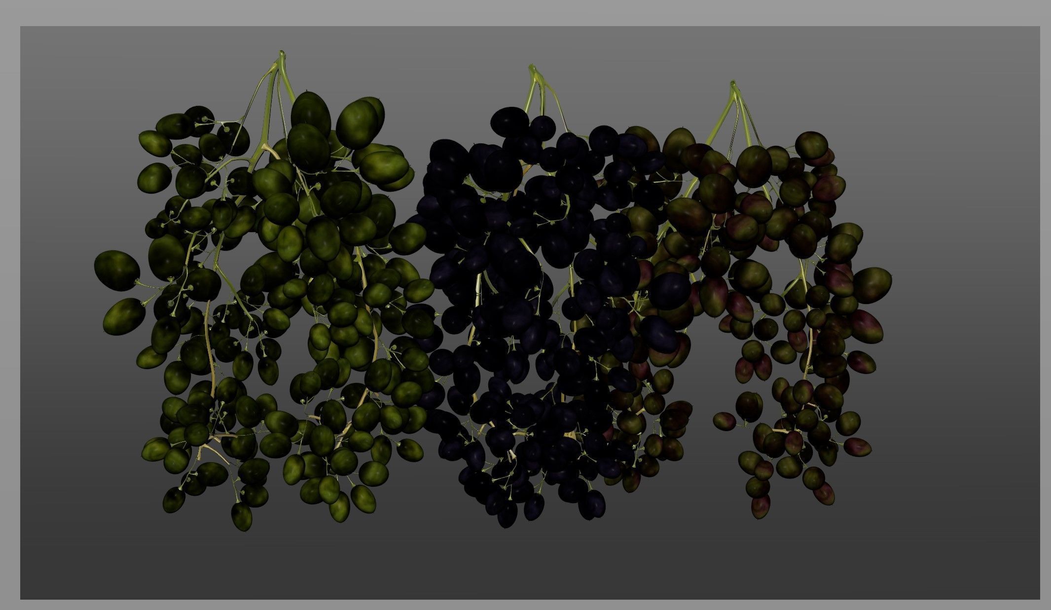 Grape 3D model_17