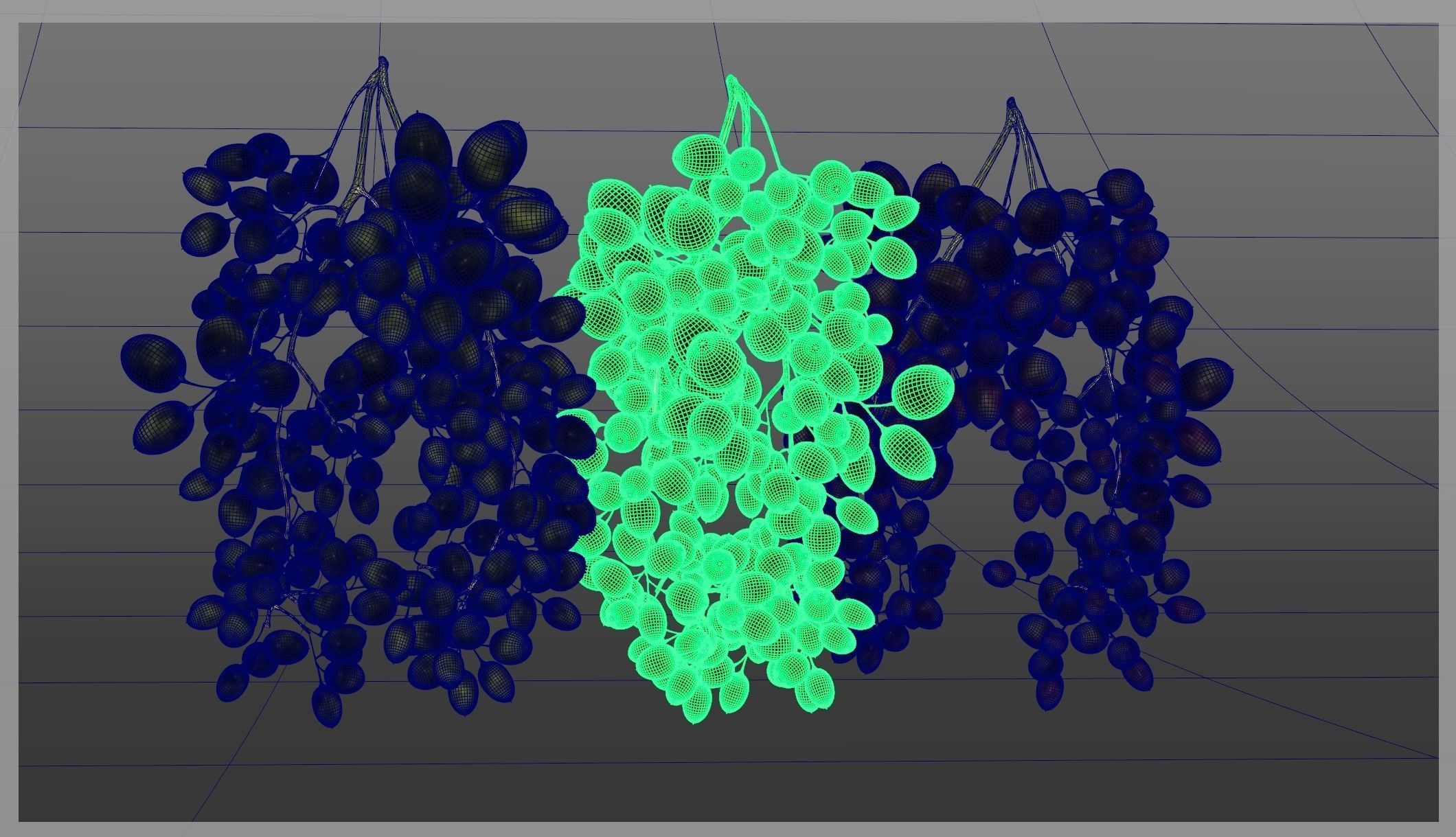 Grape 3D model_15