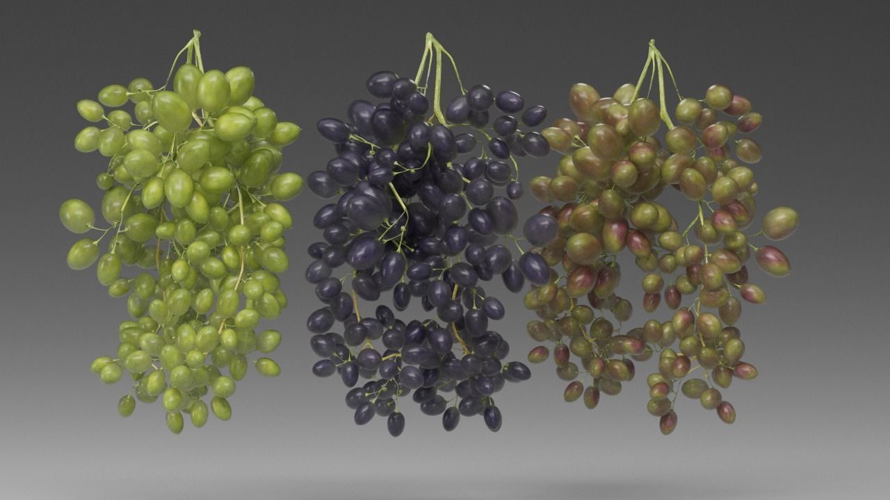 Grape 3D model_12