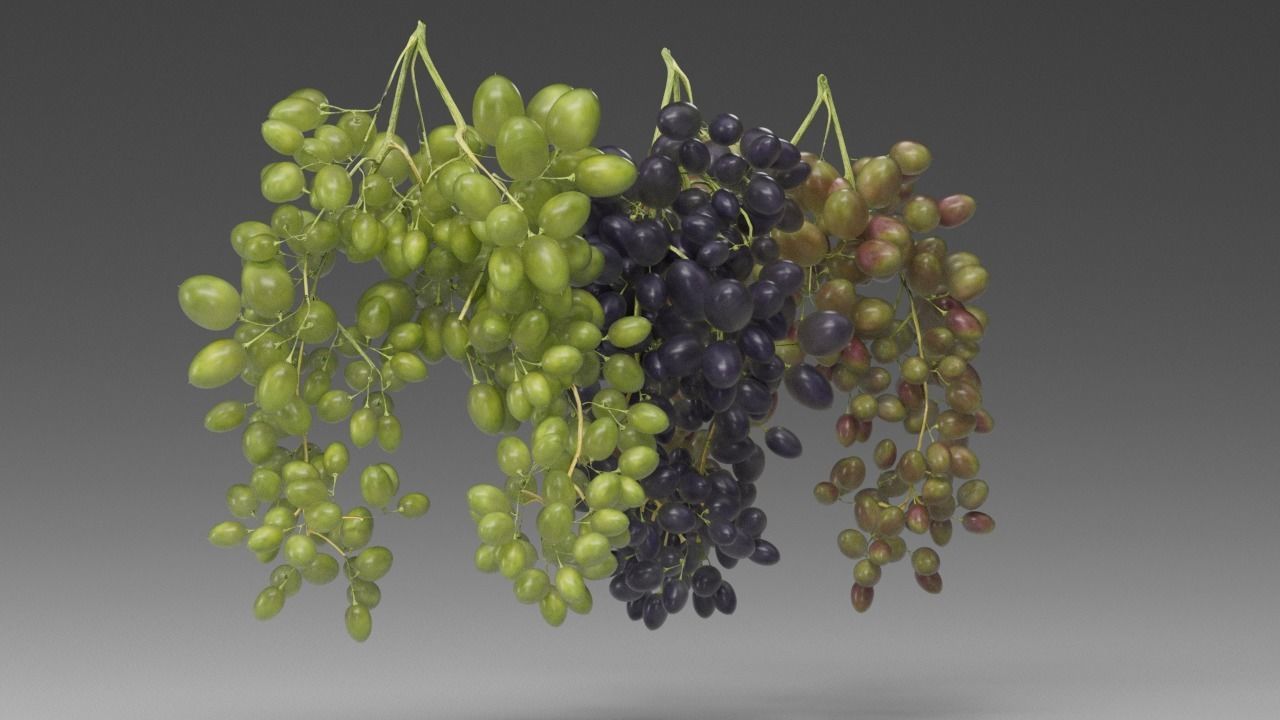 Grape 3D model_14
