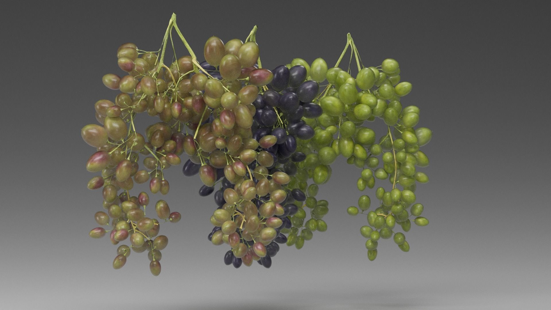 Grape 3D model_5