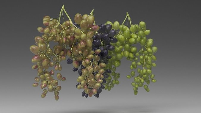 Grape 3D model 6