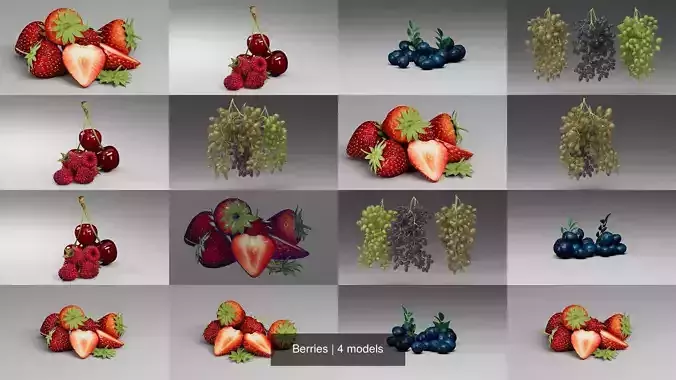 Berries 3D Model Collection