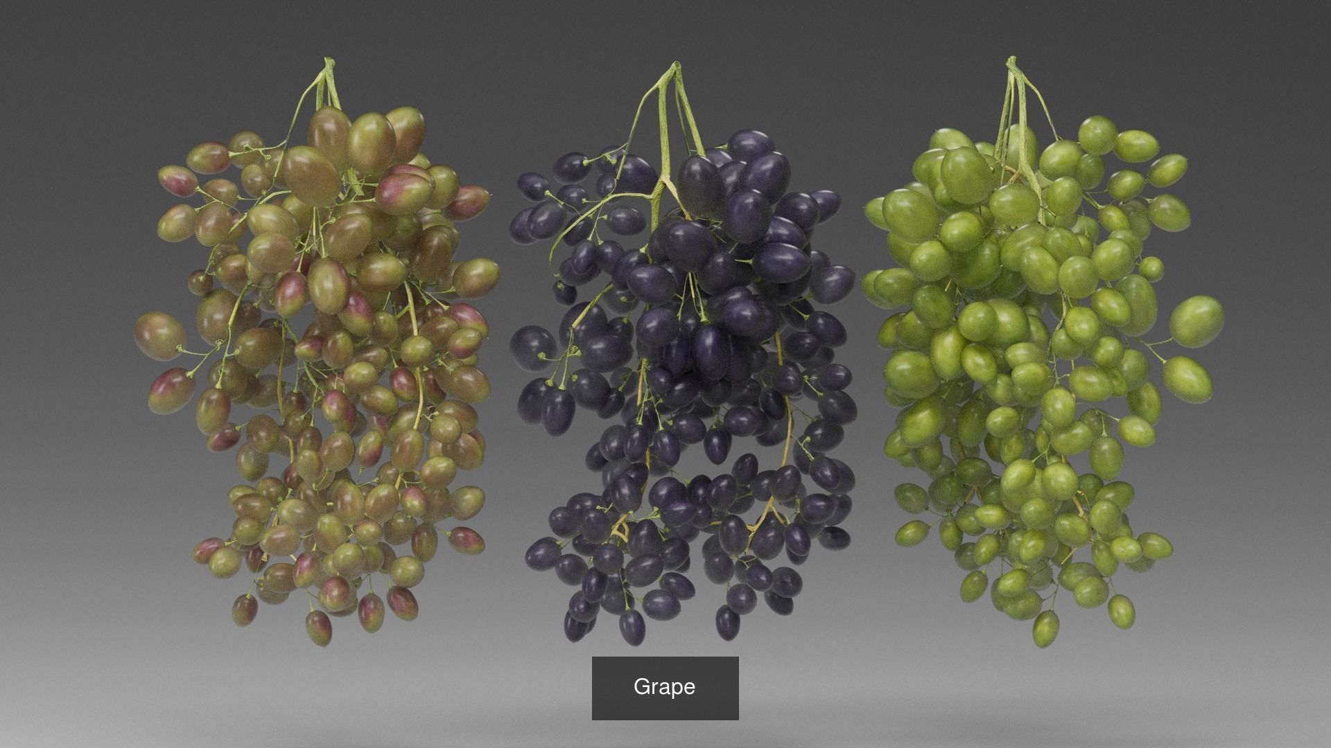Berries 3D Model Collection_4