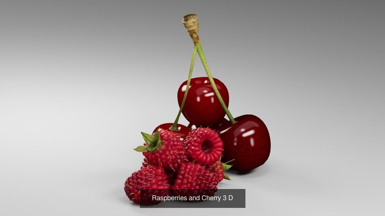 Berries 3D Model Collection_2